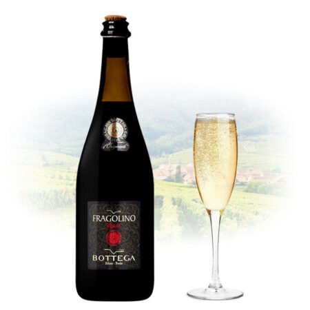 Fragolino rosso party bottega 750 ml